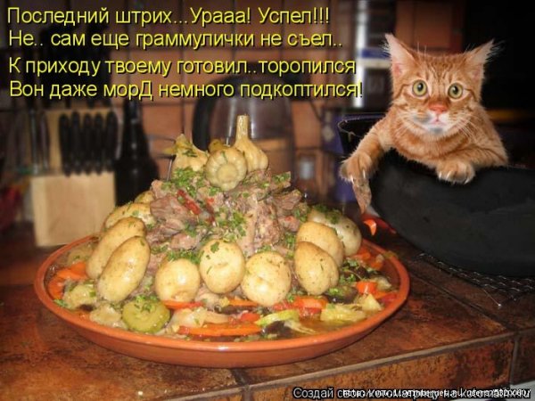Обед прикол