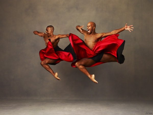 Элвина Эйли (Alvin Ailey)