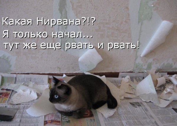 Приколы про ремонт в квартире