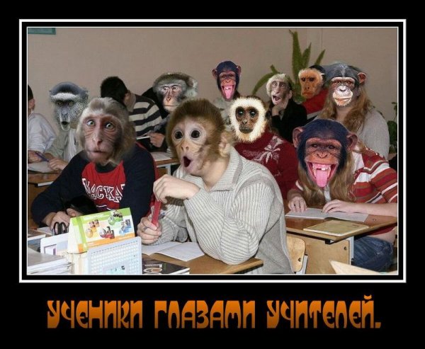 Приколы про школьников
