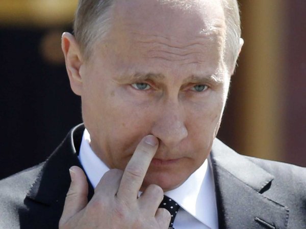Владимир Владимирович фак