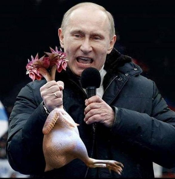 Прикольный Путин