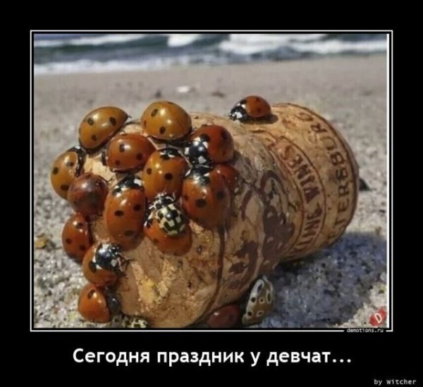 Подборка приколов с животными