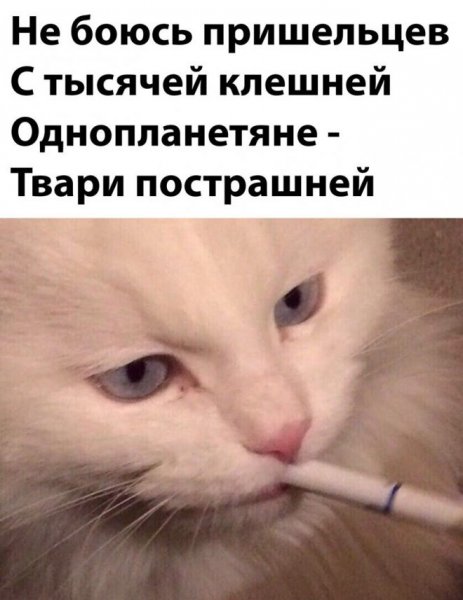 Смешные приколы про еду
