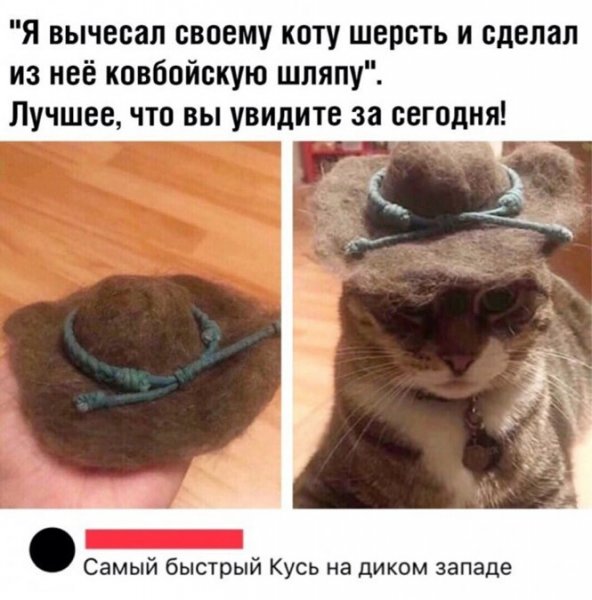 Прикольные картинки ржачные