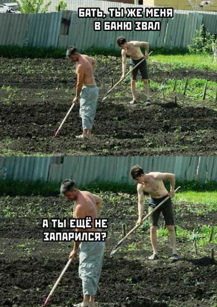 Дневные приколы