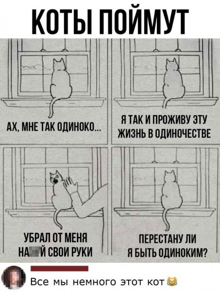 Забавные ситуации из жизни