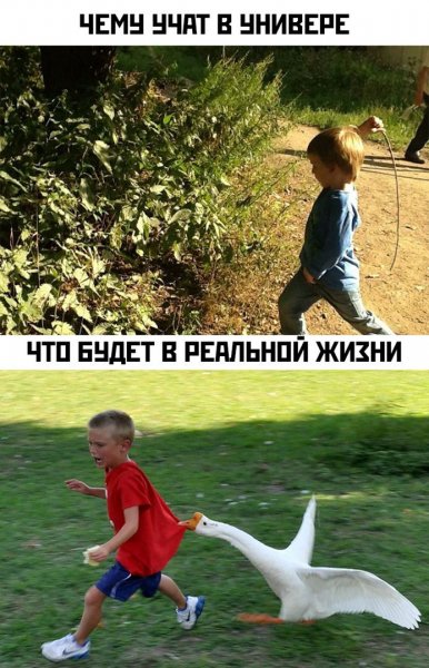 Забавные посты
