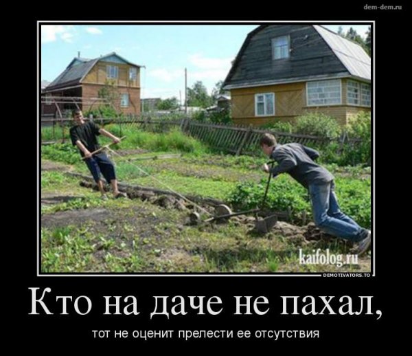 Да прикол