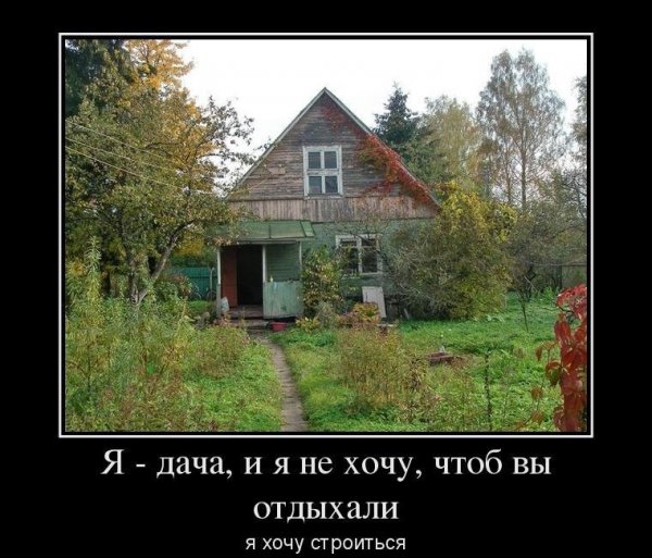 Дача юмор
