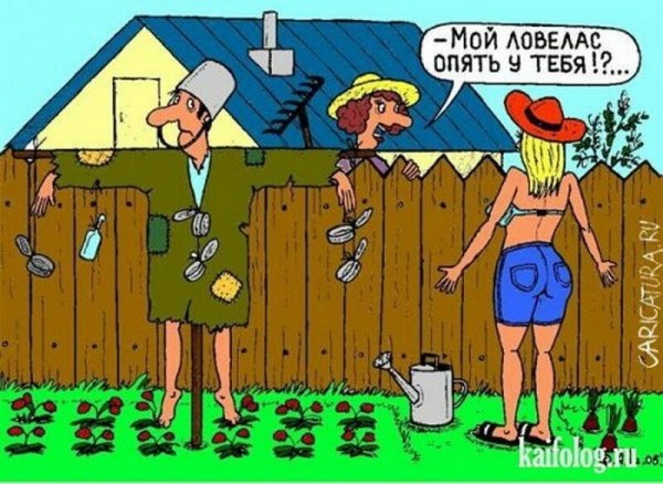 Дача юмор
