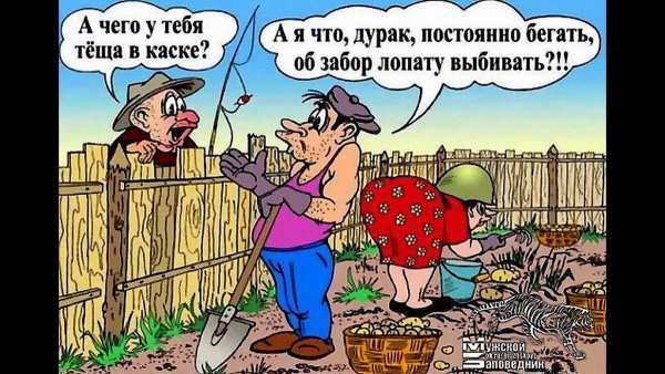 Дача юмор