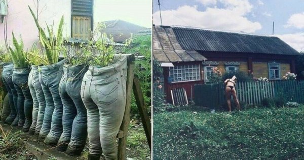 Приколы про дачу