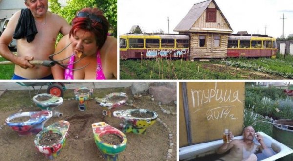 Смешное про дачу