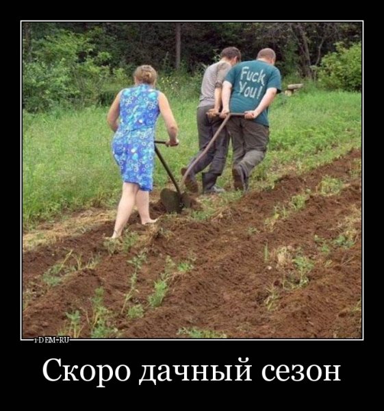 Приколы про дачу