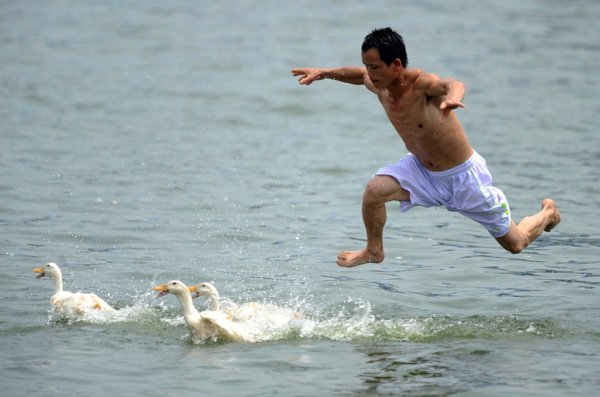 Мужик прыгает в воду