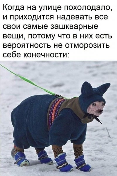 Одевайтесь теплее приколы