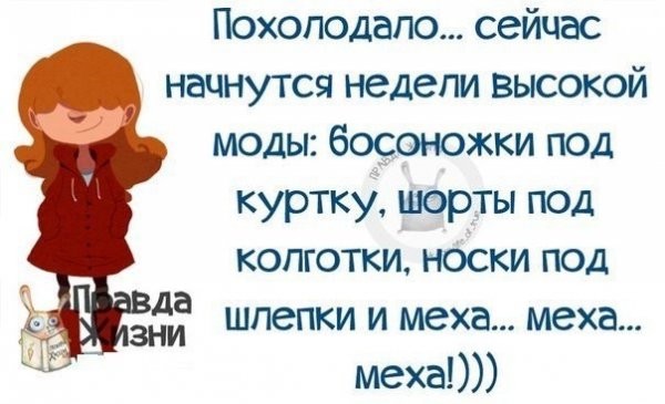 Похолодало афоризмы