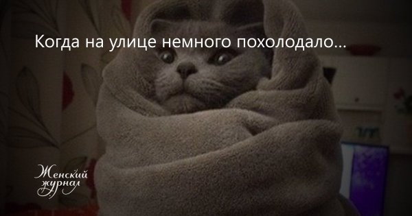 Доброе утро похолодало