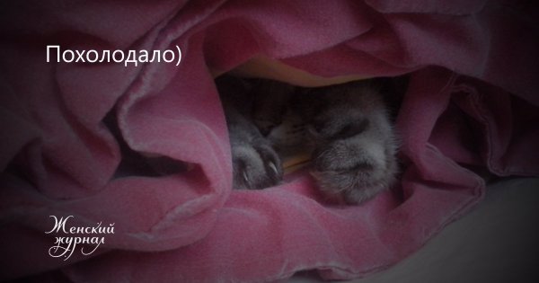 Похолодало картинки