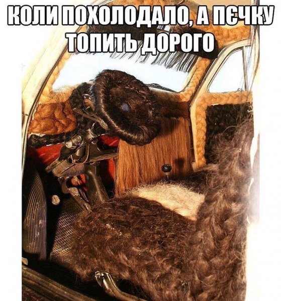 Похолодало приколы