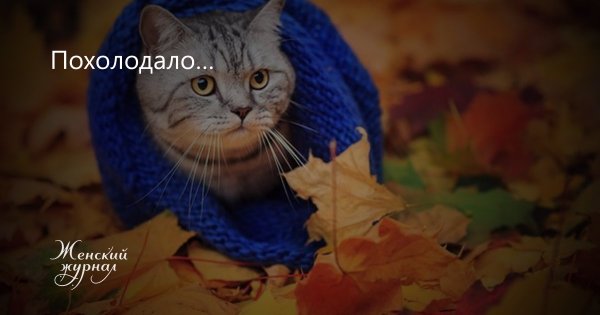 Осень похолодало