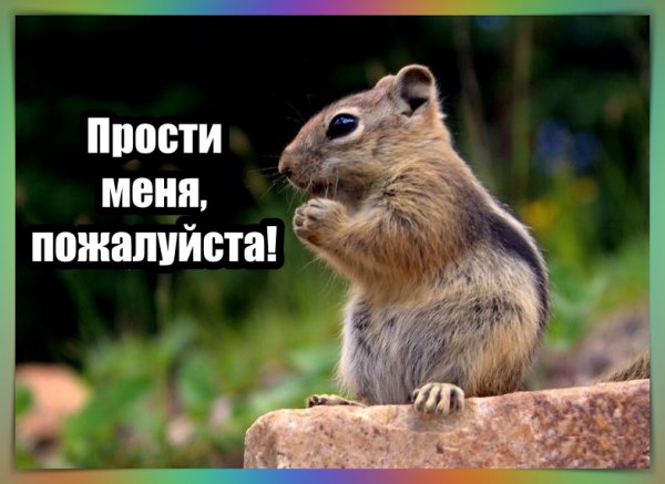 Прости меня пожалуйста