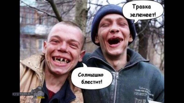 Алкаши картинки прикольные