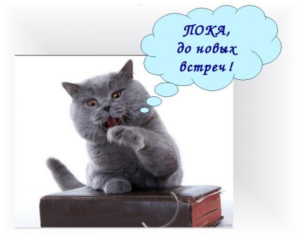Пока до свидания