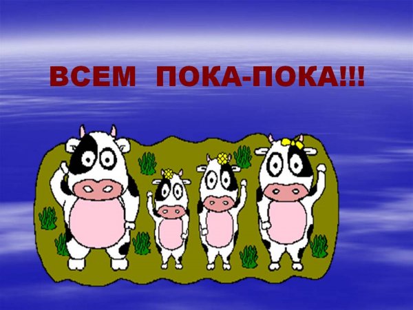 Картинка пока