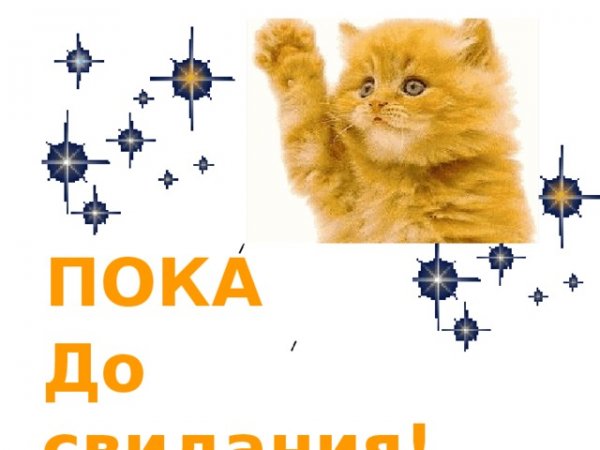 Пока до свидания
