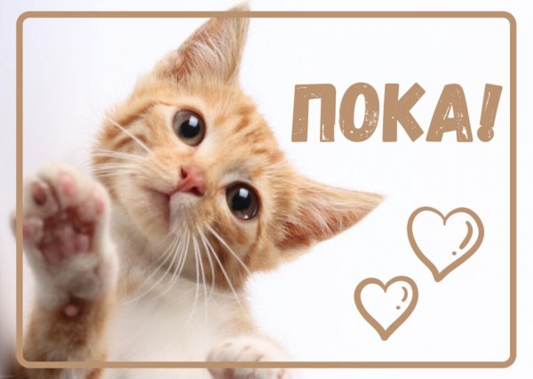 Картинка с надписью пока