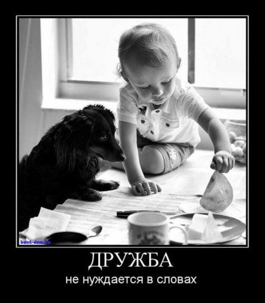 Демотиваторы про дружбу