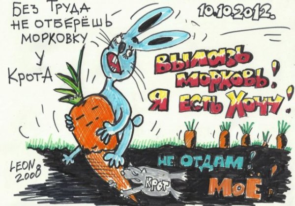 Смешные морды животных с надписями