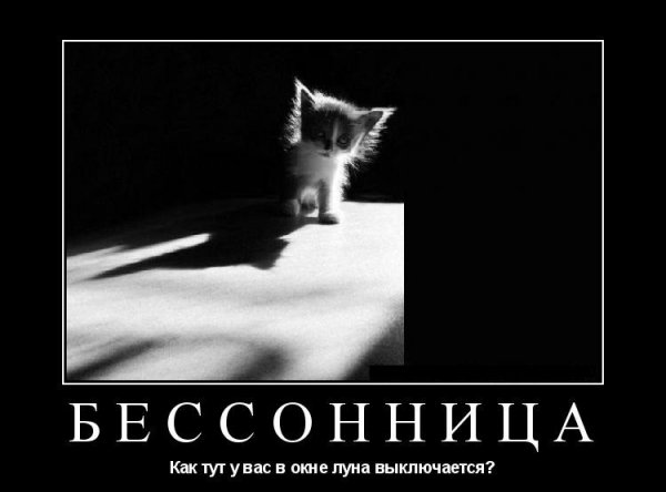 Бессонница смешные