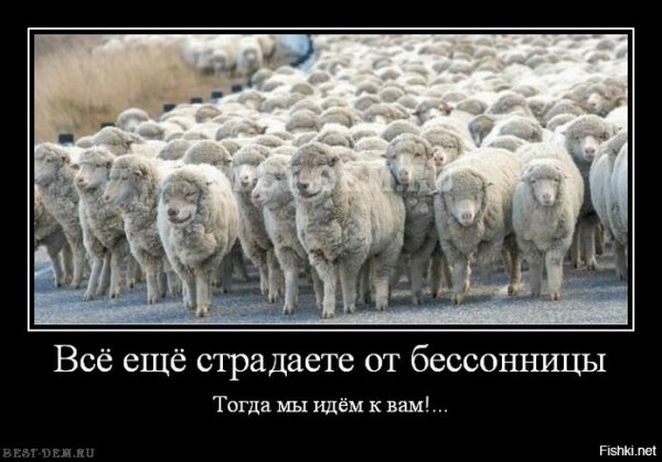 Бессонница приколы