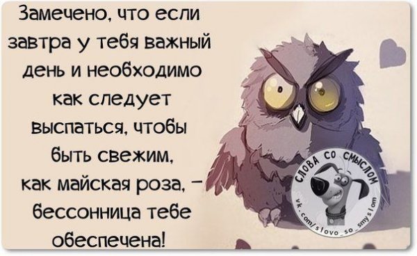 Бессонница цитаты