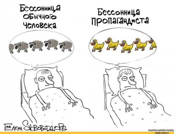 Бессонница карикатура