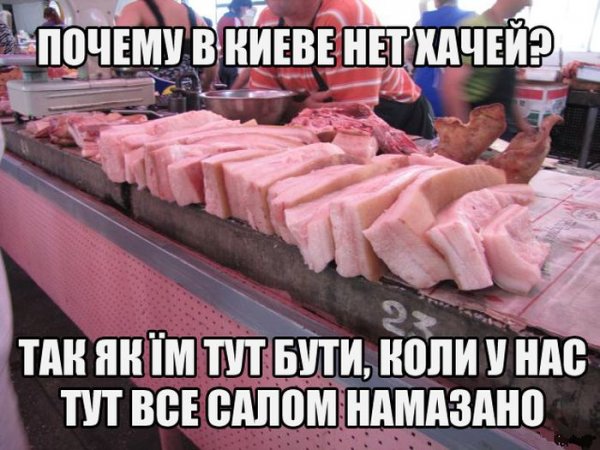 Сало прикол