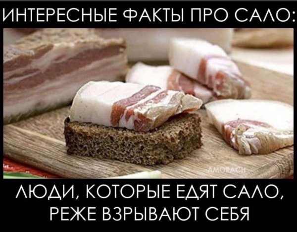 Шутки про сало