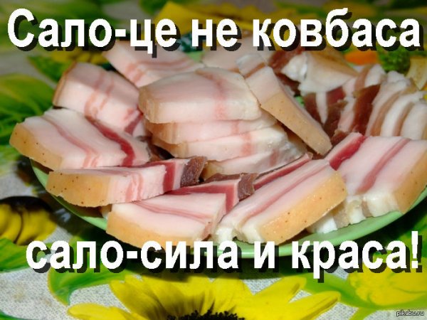 Сало прикол