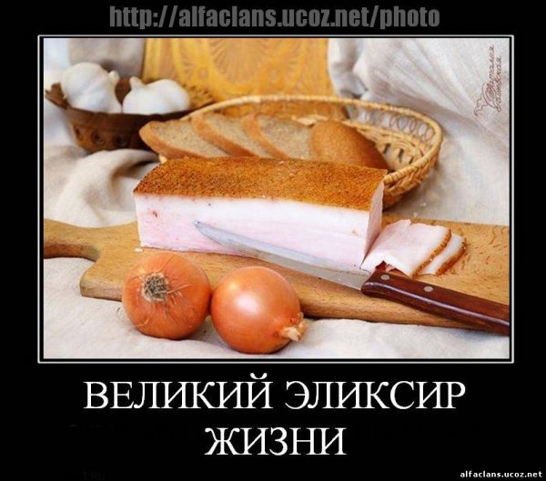 Сало демотиваторы