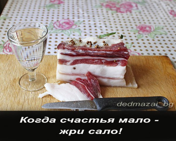 Сало юмор