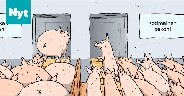 Смешные картинки про сало