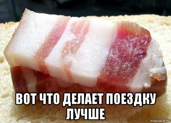 Мемы про сало
