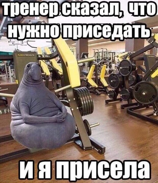Шутки про спортзал
