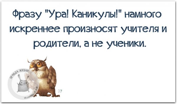 Ура каникулы