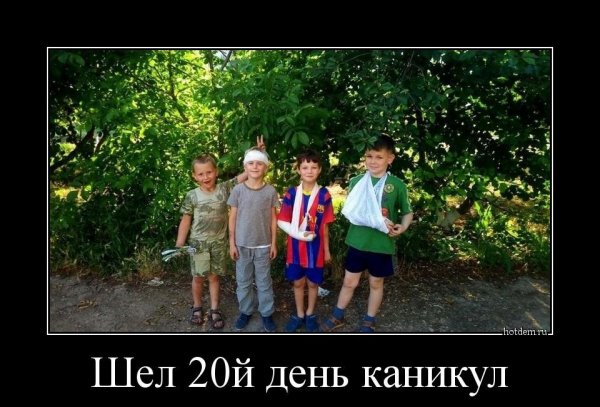 Демотиваторы про каникулы