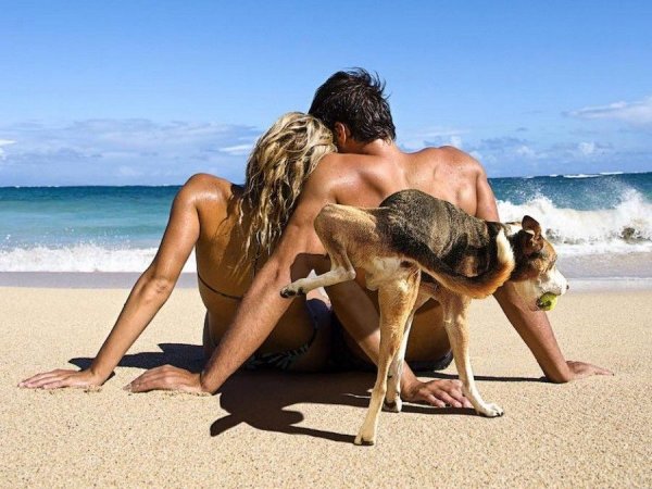 Юмор в картинках и фотографиях