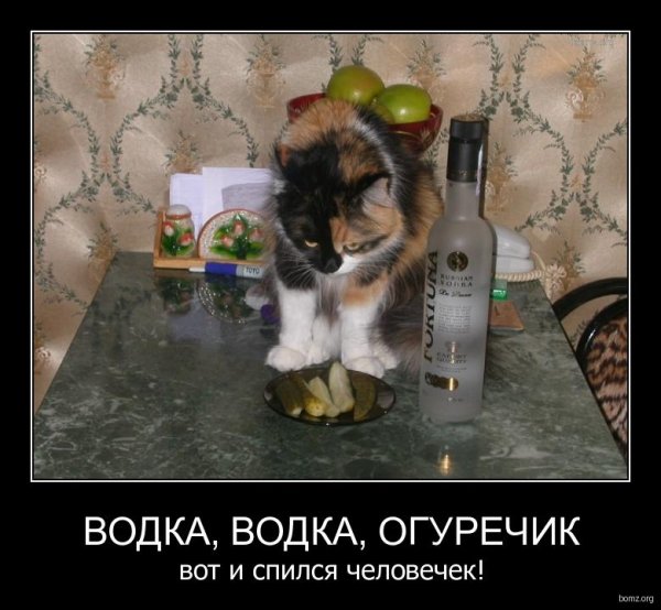 Водка водка огуречик вот и спился человечек